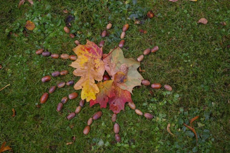FreieSchule_Landart_Natur_01