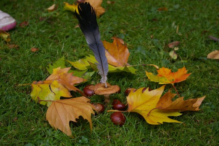 FreieSchule_Landart_Natur_02