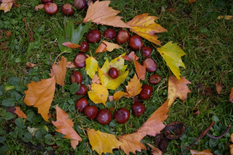 FreieSchule_Landart_Natur_03