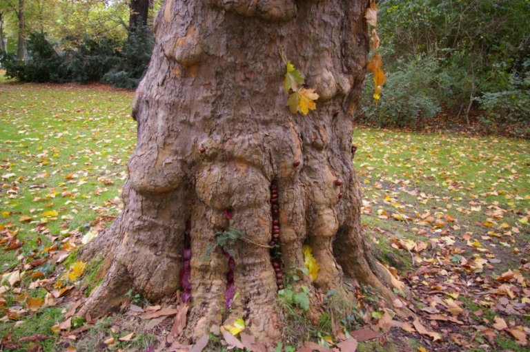 FreieSchule_Landart_Natur_07