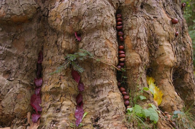 FreieSchule_Landart_Natur_08