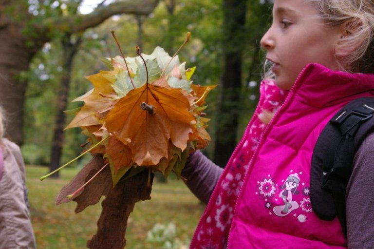 FreieSchule_Landart_Natur_10