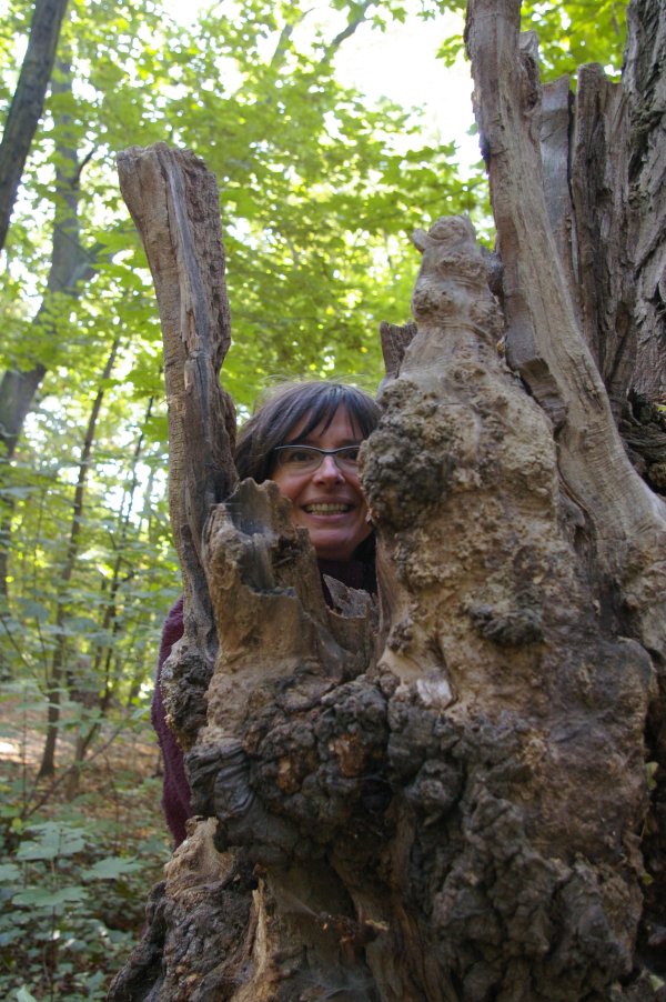 FreieSchule_Landart_Natur_11