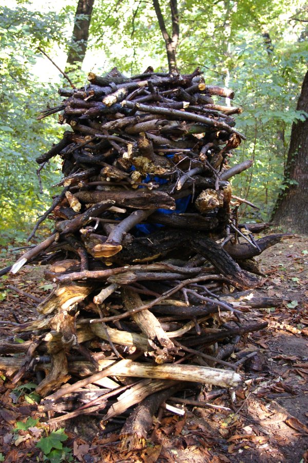 FreieSchule_Landart_Natur_16