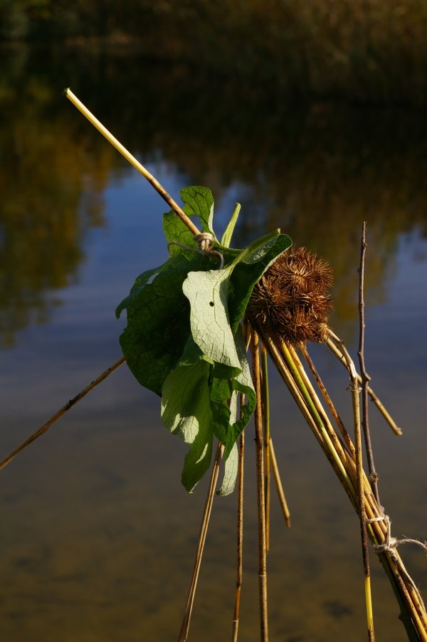 FreieSchule_Landart_Natur_26