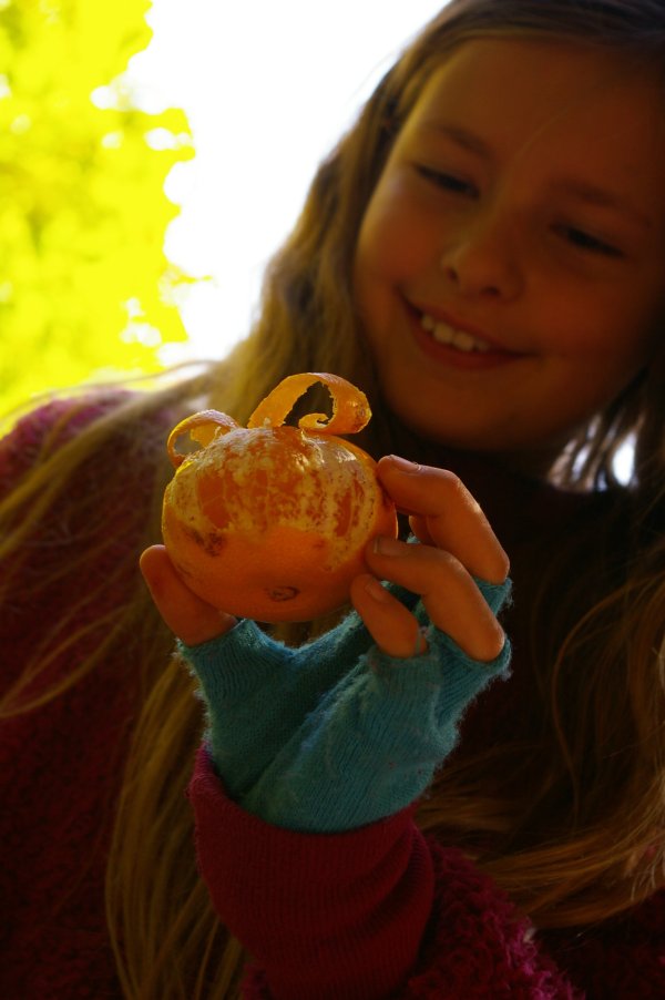 FreieSchule_Landart_Natur_29