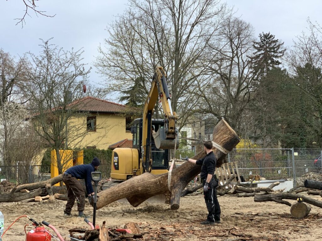 Im Zentrum der Bagger, der einen Baumstamm anhebt. Zwei Menschen dirigieren und führen das Holzelement.